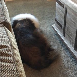 Meet your Posher, Tammy